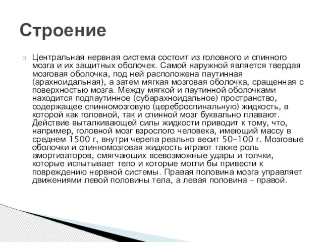 Центральная нервная система состоит из головного и спинного мозга и их защитных