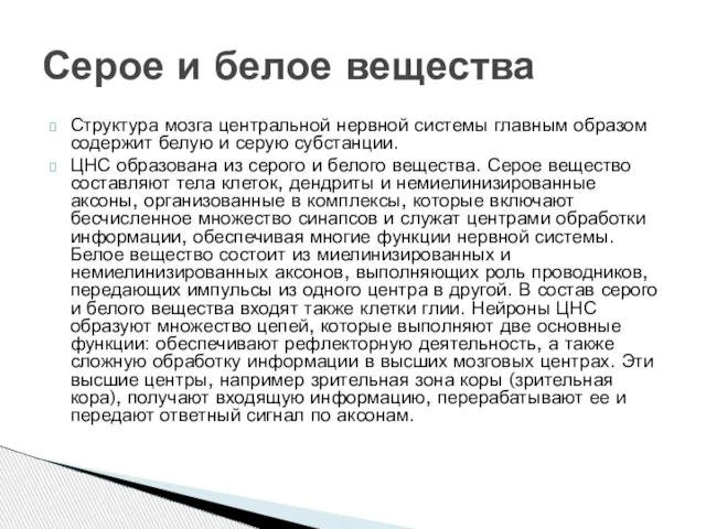 Структура мозга центральной нервной системы главным образом содержит белую и серую субстанции.