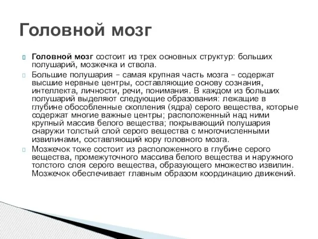 Головной мозг состоит из трех основных структур: больших полушарий, мозжечка и ствола.