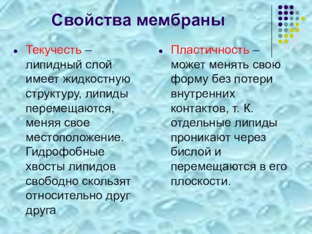 Свойства мембраны Текучесть – липидный слой имеет жидкостную структуру, липиды перемещаются, меняя