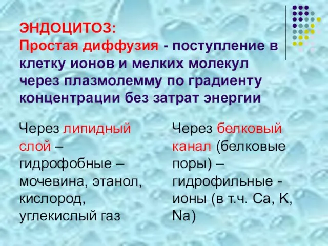 ЭНДОЦИТОЗ: Простая диффузия - поступление в клетку ионов и мелких молекул через