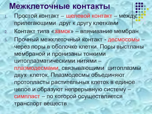 Межклеточные контакты Простой контакт – щелевой контакт – между прилегающими друг к