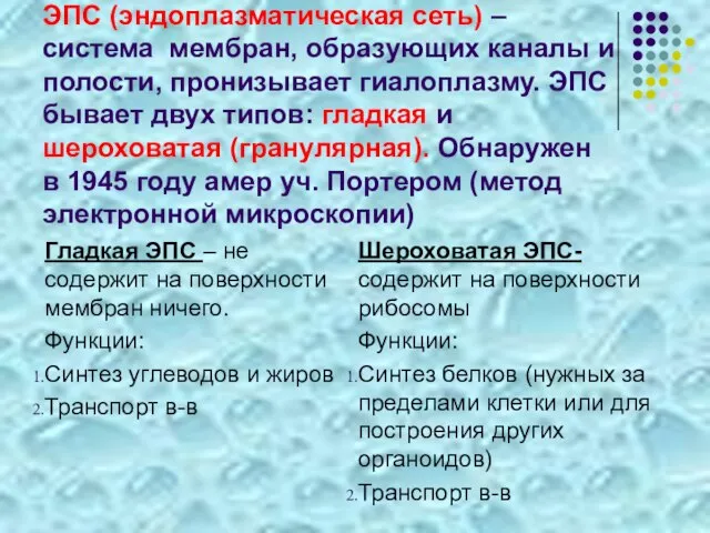 ЭПС (эндоплазматическая сеть) –система мембран, образующих каналы и полости, пронизывает гиалоплазму. ЭПС