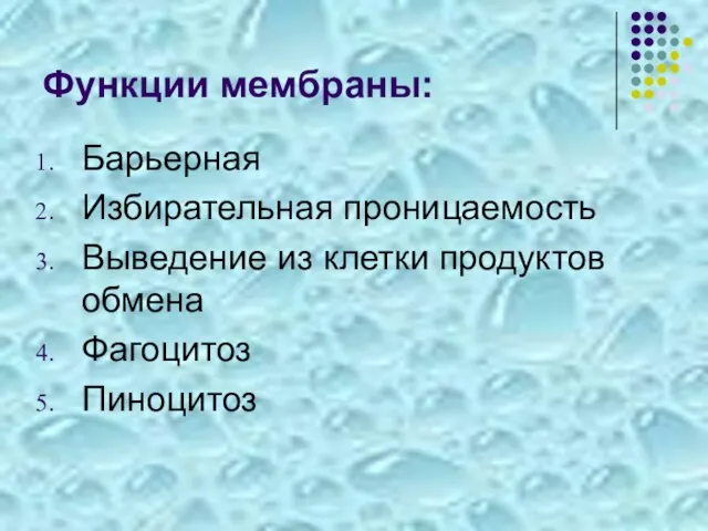 Функции мембраны: Барьерная Избирательная проницаемость Выведение из клетки продуктов обмена Фагоцитоз Пиноцитоз