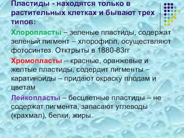 Пластиды - находятся только в растительных клетках и бывают трех типов: Хлоропласты