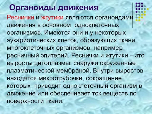 Органоиды движения Реснички и жгутики являются органоидами движения в основном одноклеточных организмов.