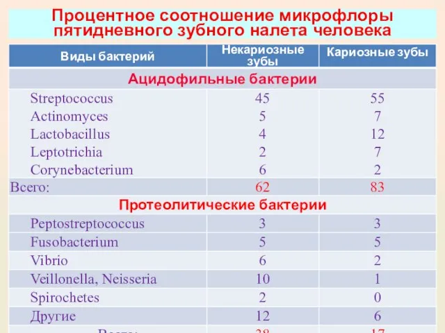 Процентное соотношение микрофлоры пятидневного зубного налета человека