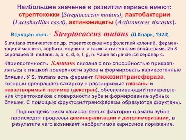 Наибольшее значение в развитии кариеса имеют: стрептококки (Streptococcus mutans), лактобактерии (Lactobacillus casei),