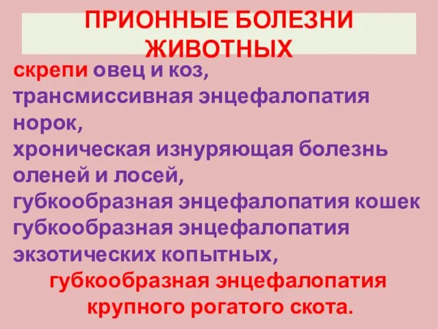 ПРИОННЫЕ БОЛЕЗНИ ЖИВОТНЫХ скрепи овец и коз, трансмиссивная энцефалопатия норок, хроническая изнуряющая