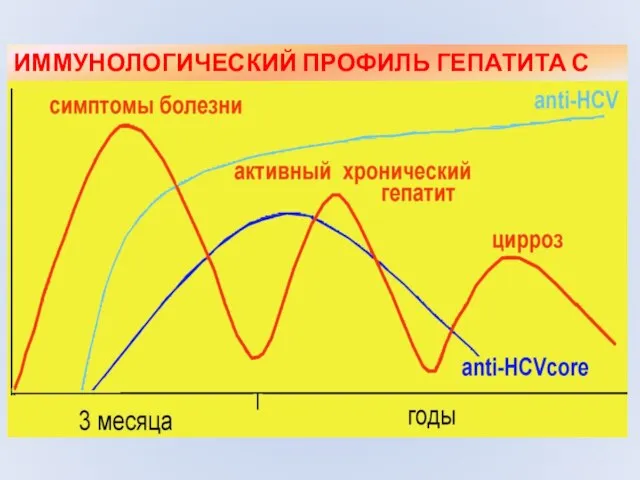 ИММУНОЛОГИЧЕСКИЙ ПРОФИЛЬ ГЕПАТИТА С