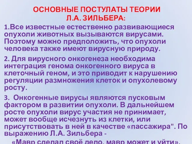 ОСНОВНЫЕ ПОСТУЛАТЫ ТЕОРИИ Л.А. ЗИЛЬБЕРА: 1.Все известные естественно развивающиеся опухоли животных вызываются