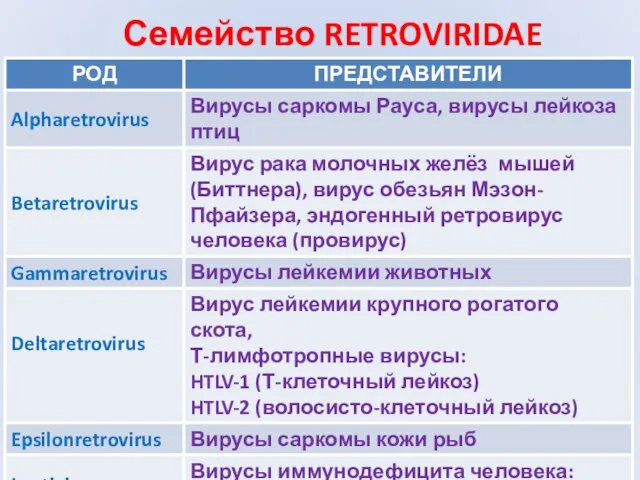 Семейство RETROVIRIDAE