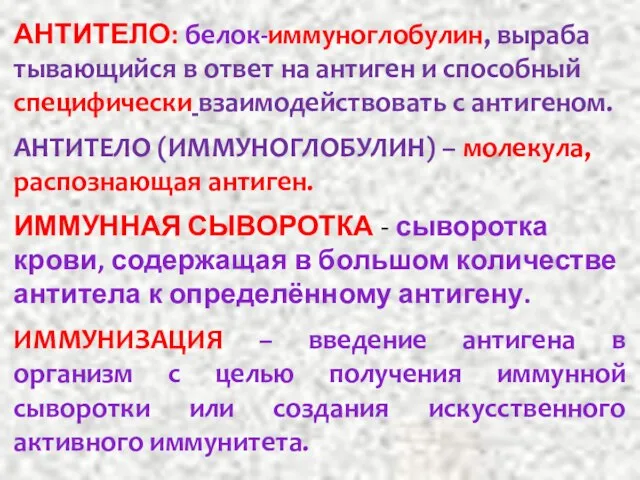 АН­ТИ­ТЕ­ЛО: бе­лок-им­му­ног­ло­бу­лин, вы­ра­ба­ты­ваю­щий­ся в от­вет на ан­ти­ген и спо­соб­ный спе­ци­фи­че­ски взаи­мо­дей­ст­во­вать с