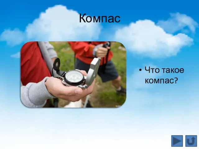 Компас Что такое компас?