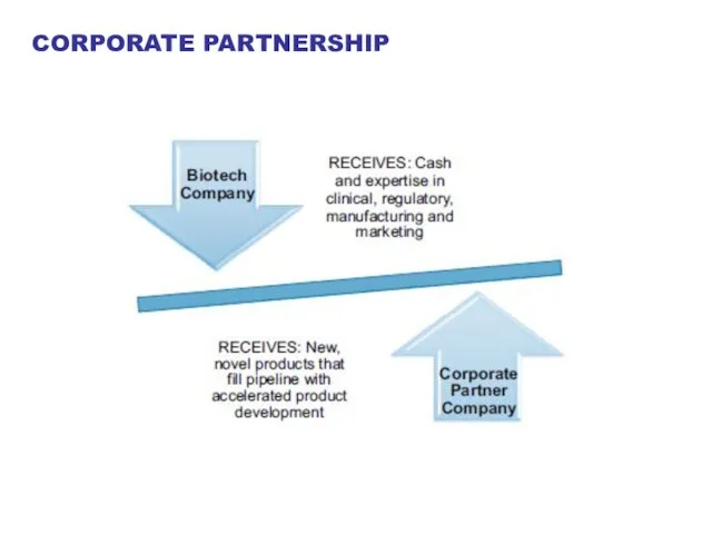 CORPORATE PARTNERSHIP