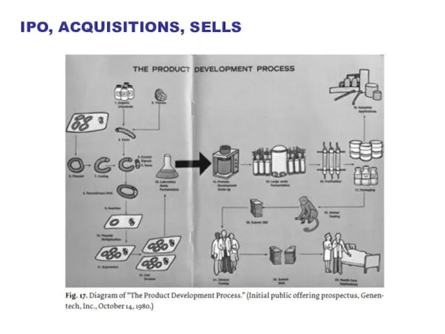 IPO, ACQUISITIONS, SELLS