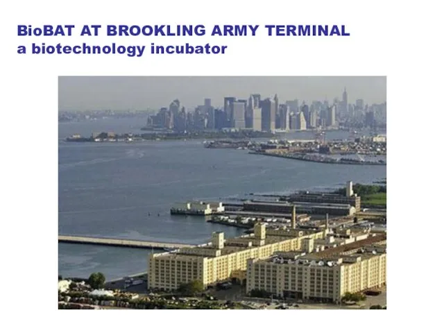 BioBAT AT BROOKLING ARMY TERMINAL a biotechnology incubator