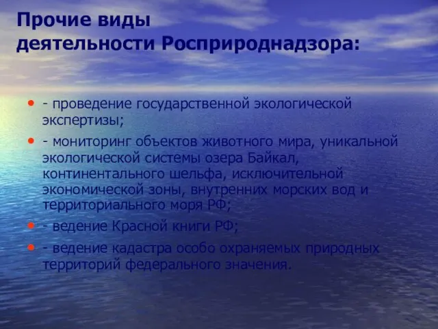 Прочие виды деятельности Росприроднадзора: - проведение государственной экологической экспертизы; - мониторинг объектов