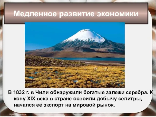 * Антоненкова Анжелика Викторовна В 1832 г. в Чили обнаружили богатые залежи