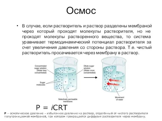 Осмос В случае, если растворитель и раствор разделены мембраной через который проходят