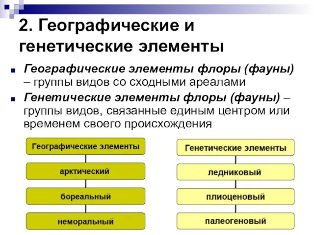 2. Географические и генетические элементы Географические элементы флоры (фауны) – группы видов