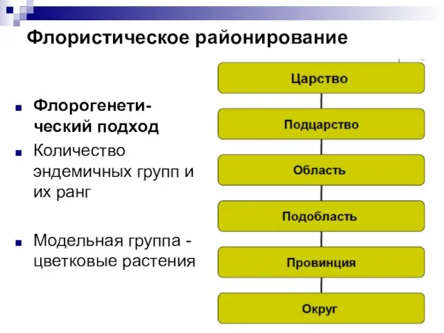 Флористическое районирование Флорогенети-ческий подход Количество эндемичных групп и их ранг Модельная группа - цветковые растения