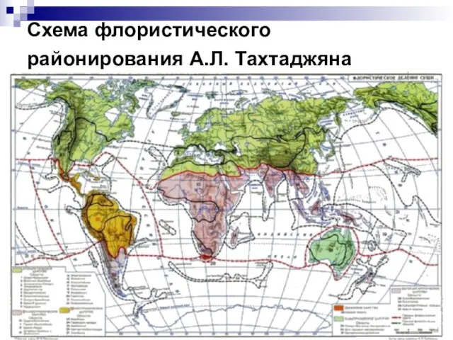 Схема флористического районирования А.Л. Тахтаджяна