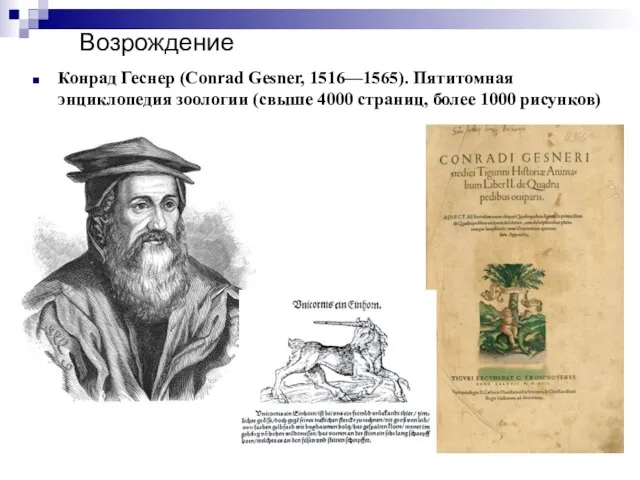 Возрождение Конрад Геснер (Conrad Gesner, 1516—1565). Пятитомная энциклопедия зоологии (свыше 4000 страниц, более 1000 рисунков)