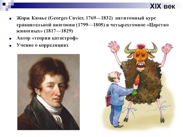 XIX век Жорж Кювье (Georges Cuvier, 1769—1832) пятитомный курс сравнительной анатомии (1799—1805)