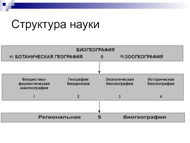 Структура науки