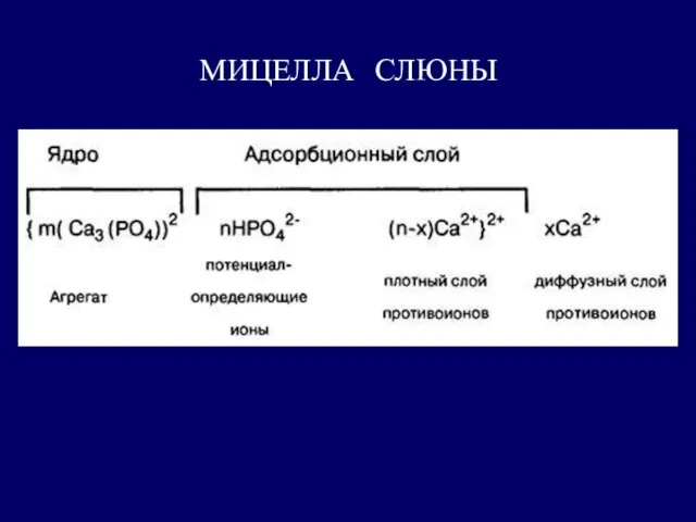 МИЦЕЛЛА СЛЮНЫ