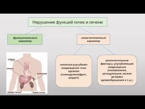 Нарушение функций почек и печени функциональный характер злокачественный характер гипоксия усугубляет повреждение