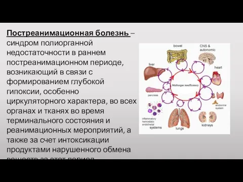 Постреанимационная болезнь – синдром полиорганной недостаточности в раннем постреанимационном периоде, возникающий в