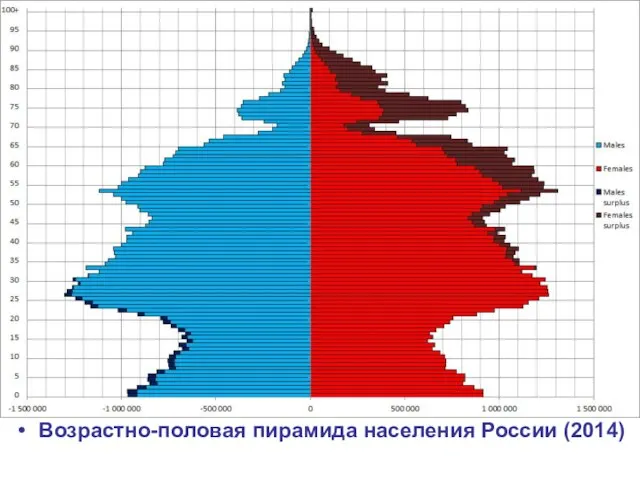 Возрастно-половая пирамида населения России (2014)