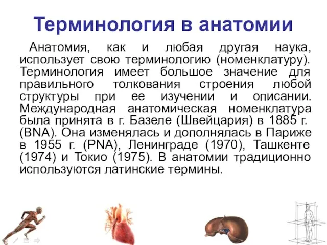 Терминология в анатомии Анатомия, как и любая другая наука, использует свою терминологию