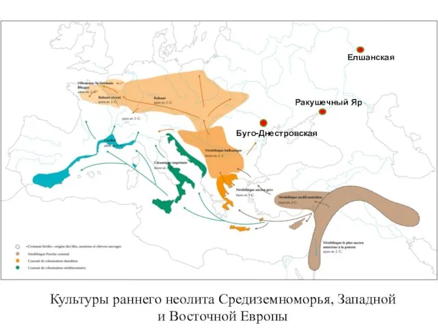 Культуры раннего неолита Средиземноморья, Западной и Восточной Европы Буго-Днестровская Ракушечный Яр Елшанская