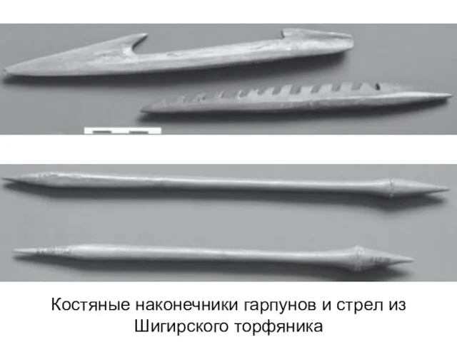 Костяные наконечники гарпунов и стрел из Шигирского торфяника