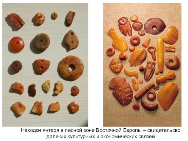 Находки янтаря в лесной зоне Восточной Европы – свидетельсво далеких культурных и экономических связей