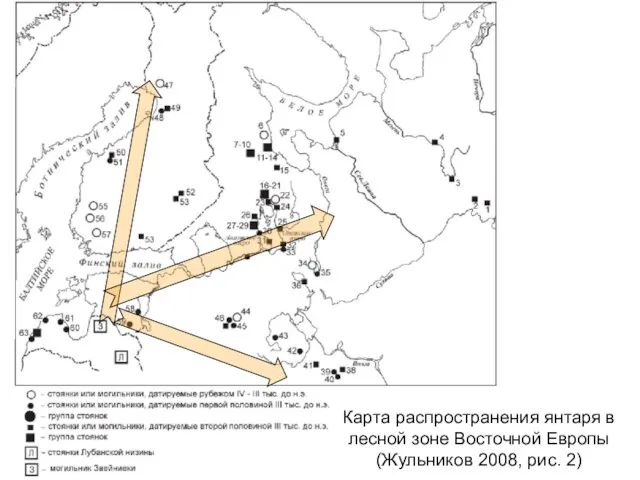 Карта распространения янтаря в лесной зоне Восточной Европы (Жульников 2008, рис. 2)