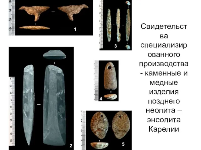 Свидетельства специализированного производства - каменные и медные изделия позднего неолита – энеолита Карелии