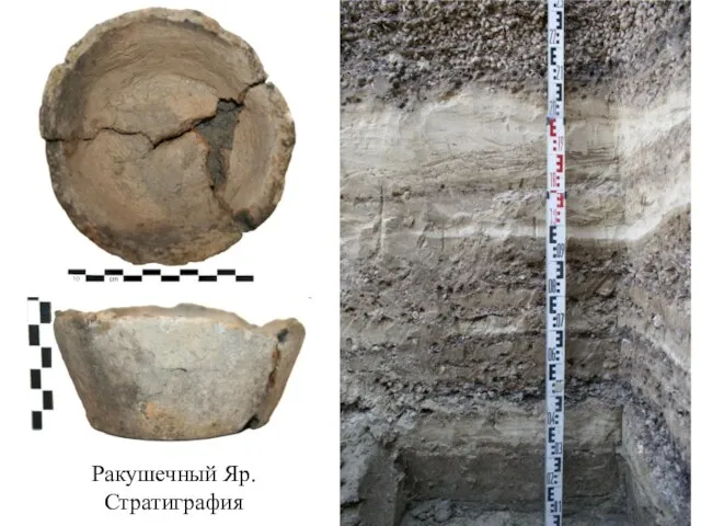 Ракушечный Яр. Стратиграфия
