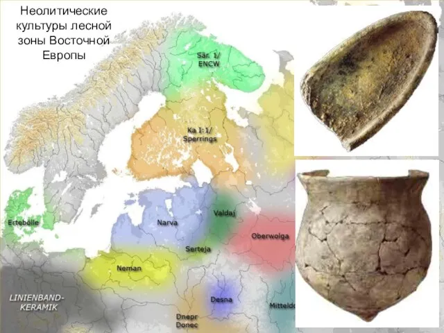 Неолитические культуры лесной зоны Восточной Европы