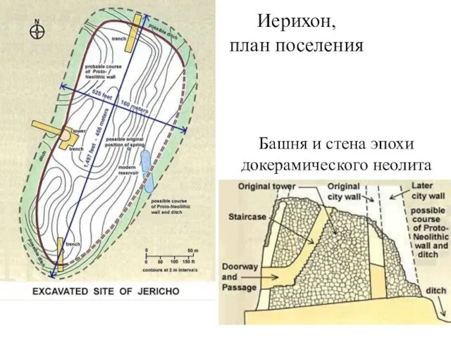 Иерихон, план поселения Башня и стена эпохи докерамического неолита
