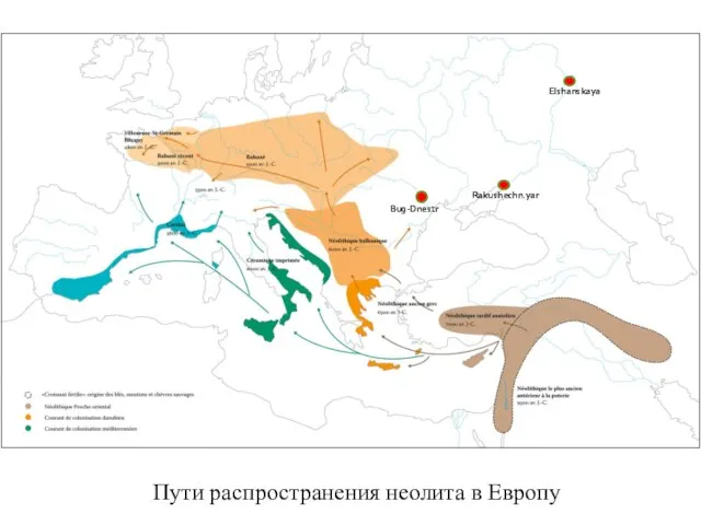 Пути распространения неолита в Европу Bug-Dnestr Rakushechn.yar Elshanskaya