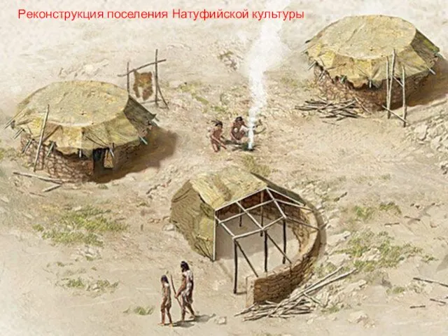 Реконструкция поселения Натуфийской культуры