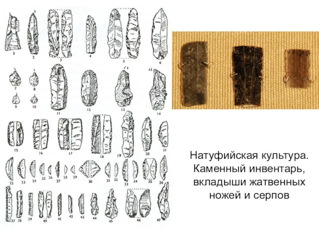 Натуфийская культура. Каменный инвентарь, вкладыши жатвенных ножей и серпов