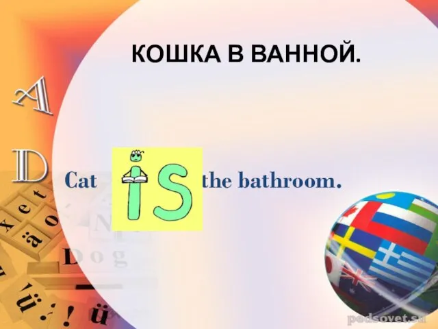 КОШКА В ВАННОЙ. Cat in the bathroom.