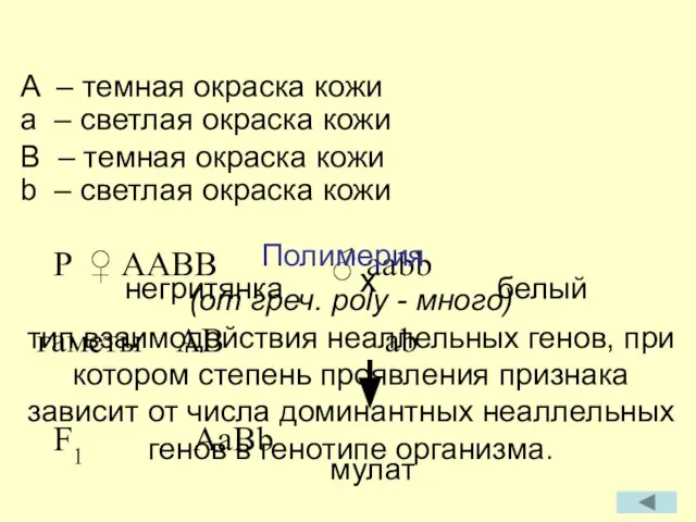 (от греч. poly - много) тип взаимодействия неаллельных генов, при котором степень