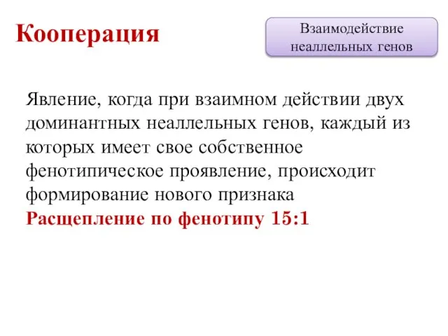 Взаимодействие неаллельных генов Кооперация Явление, когда при взаимном действии двух доминантных неаллельных