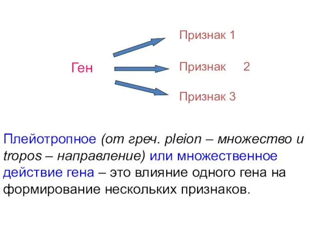 Ген Признак Плейотропное (от греч. pleion – множество и tropos – направление)